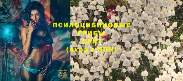 крисы Алзамай