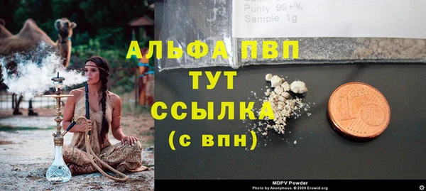 крисы Алзамай