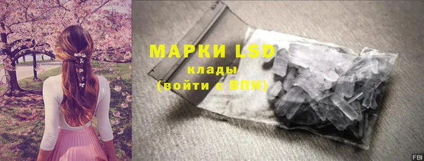 крисы Алзамай