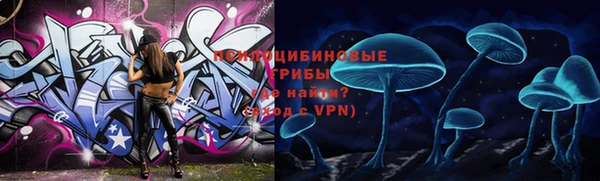 ПСИЛОЦИБИНОВЫЕ ГРИБЫ Снежногорск