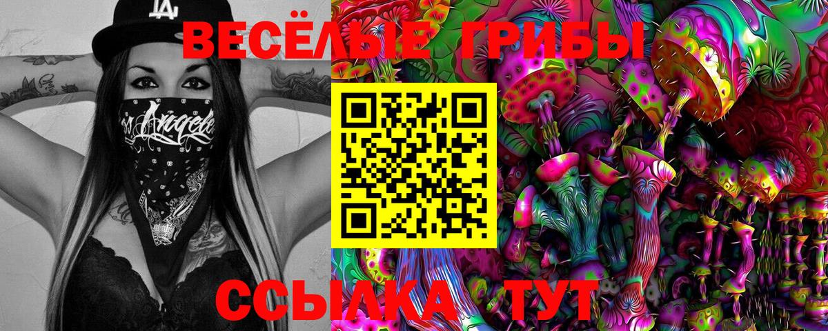 Галлюциногенные грибы мицелий Тосно