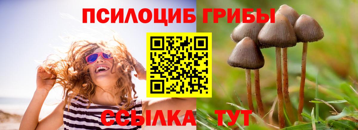 Тосно  Псилоцибиновые грибы мицелий  Псилоцибиновые грибы MAGIC MUSHROOMS  Вход с VPN 